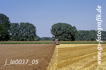 Bild in den Warenkorb legen