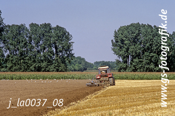 Bild in den Warenkorb legen
