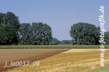 Bild in den Warenkorb legen