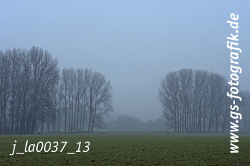 Bild in den Warenkorb legen