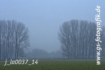 Bild in den Warenkorb legen