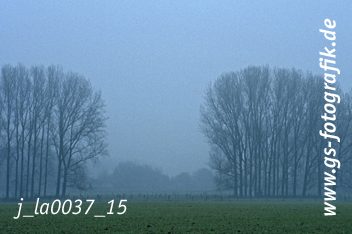 Bild in den Warenkorb legen