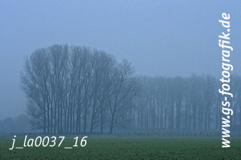 Bild in den Warenkorb legen