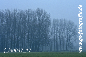 Bild in den Warenkorb legen