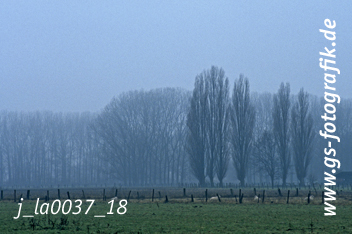 Bild in den Warenkorb legen