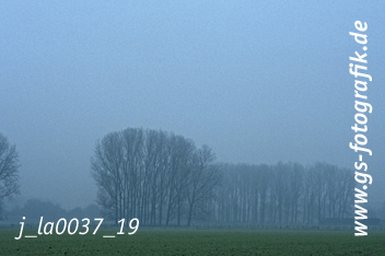 Bild in den Warenkorb legen