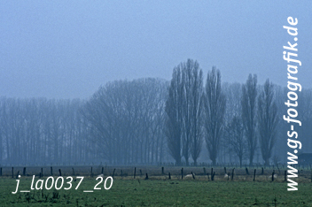 Bild in den Warenkorb legen