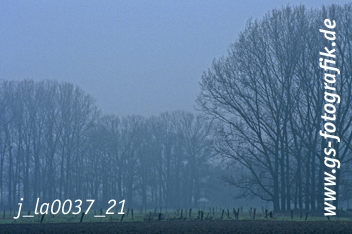 Bild in den Warenkorb legen