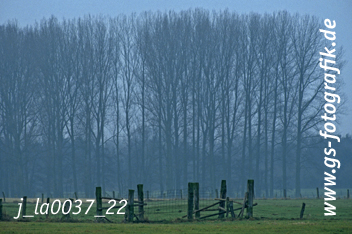 Bild in den Warenkorb legen