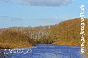 Bild in den Warenkorb legen