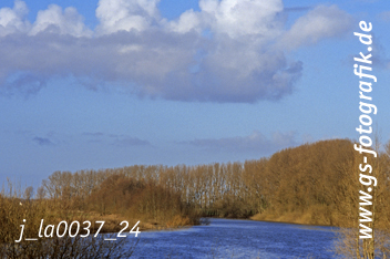 Bild in den Warenkorb legen