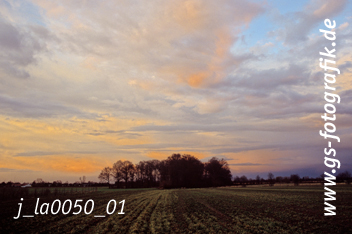 Bild in den Warenkorb legen