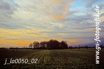 Bild in den Warenkorb legen