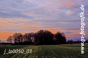 Bild in den Warenkorb legen