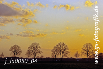 Bild in den Warenkorb legen