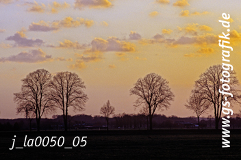 Bild in den Warenkorb legen