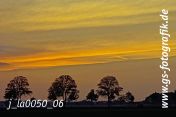 Bild in den Warenkorb legen