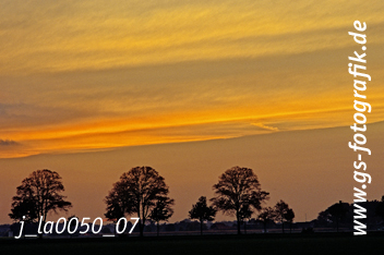 Bild in den Warenkorb legen