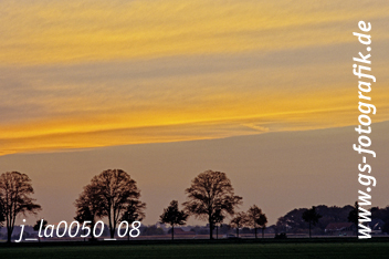 Bild in den Warenkorb legen