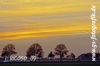 Bild in den Warenkorb legen