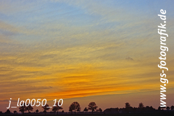 Bild in den Warenkorb legen