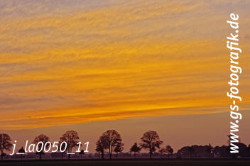 Bild in den Warenkorb legen