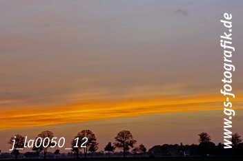 Bild in den Warenkorb legen