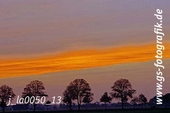 Bild in den Warenkorb legen