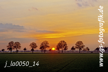 Bild in den Warenkorb legen