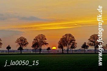 Bild in den Warenkorb legen