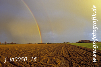 Bild in den Warenkorb legen