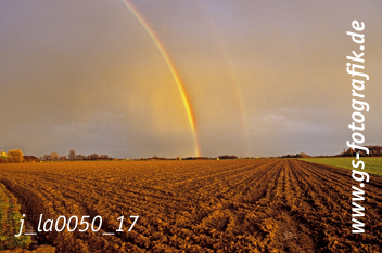 Bild in den Warenkorb legen