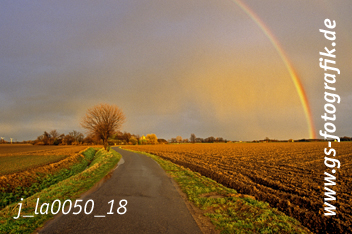 Bild in den Warenkorb legen