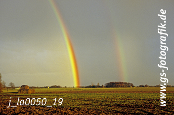 Bild in den Warenkorb legen