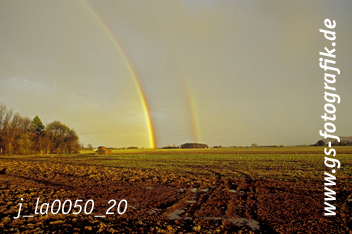 Bild in den Warenkorb legen