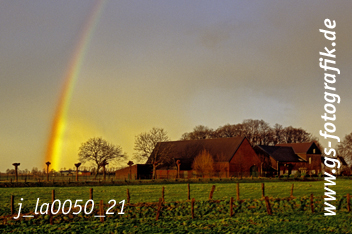 Bild in den Warenkorb legen