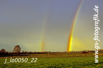 Bild in den Warenkorb legen