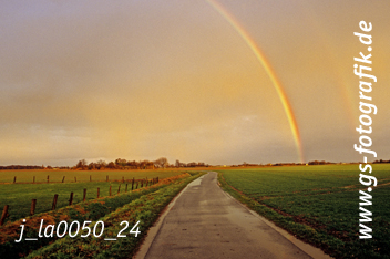 Bild in den Warenkorb legen