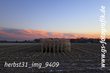 Bild in den Warenkorb legen