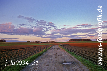 Bild in den Warenkorb legen