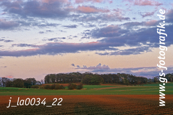 Bild in den Warenkorb legen