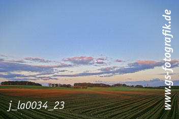 Bild in den Warenkorb legen