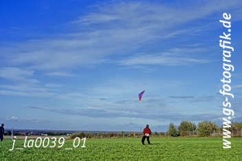 Bild in den Warenkorb legen