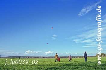 Bild in den Warenkorb legen