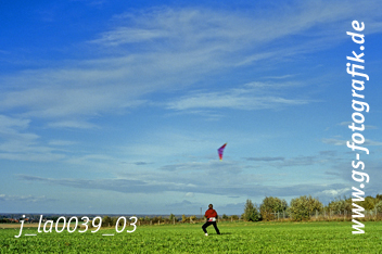 Bild in den Warenkorb legen