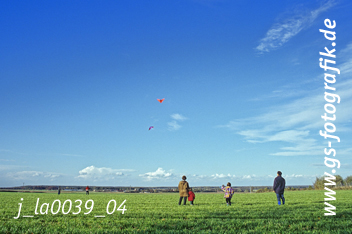 Bild in den Warenkorb legen