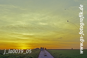 Bild in den Warenkorb legen