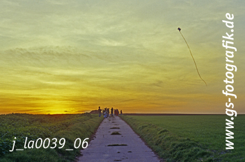 Bild in den Warenkorb legen