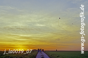 Bild in den Warenkorb legen