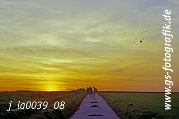 Bild in den Warenkorb legen